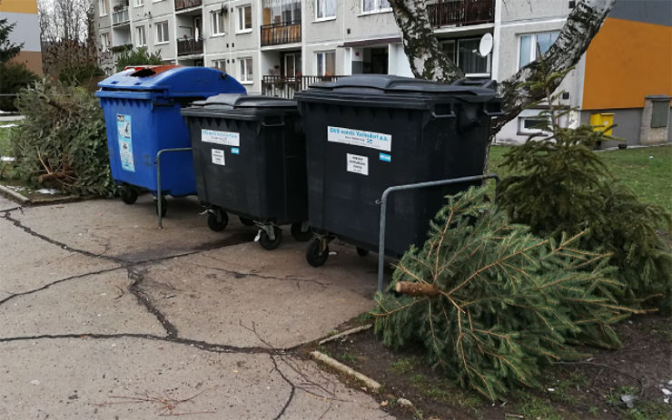 Odstrojené stromky nechte u popelnic. Jejich svoz proběhne ve čtyřech lednových termínech