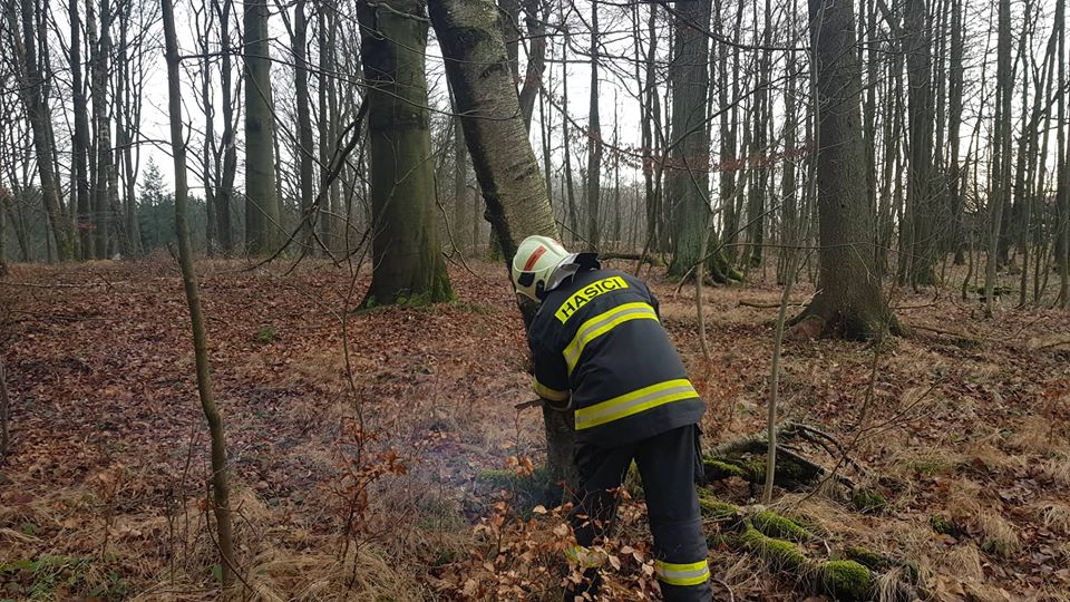 Krásná Lípa: Strom hrozil pádem na vozovku. Zasahovat museli hasiči