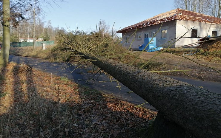 V Rumburku spadl dopoledne strom přes silnici. Poškodil i dráty vysokého napětí