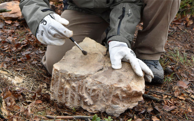V Tiských stěnách objevili zkameněliny z druhohor, lidé si je mohou prohlédnout už koncem února