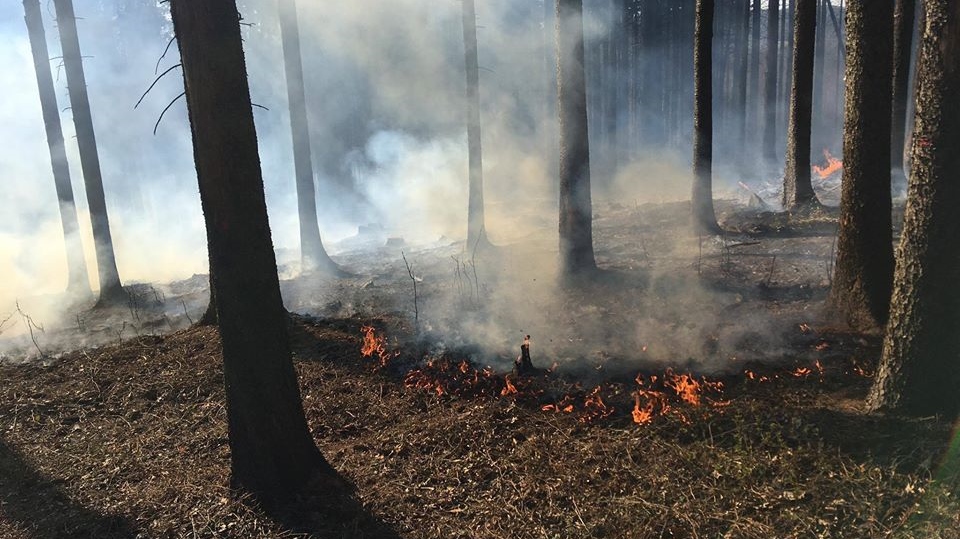 Na Děčínsku hořel les. Na místo vyjely čtyři hasičské jednotky