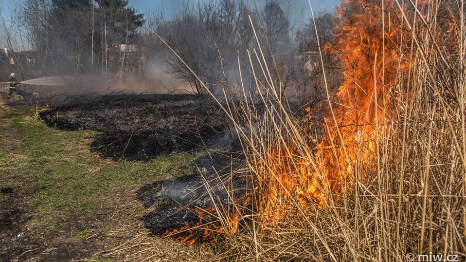 Hasiči v sobotu vyjížděli k požáru louky a k nahlášenému požáru domu