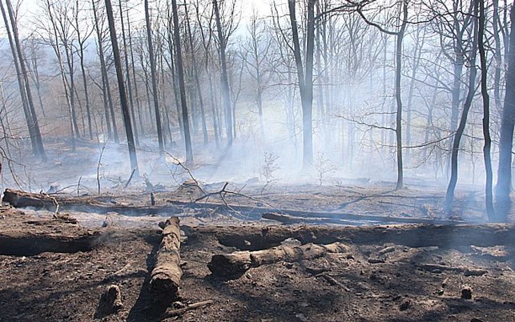 Hasiči měli o Velikonocích plné ruce práce. Bojovali hlavně s požáry porostů