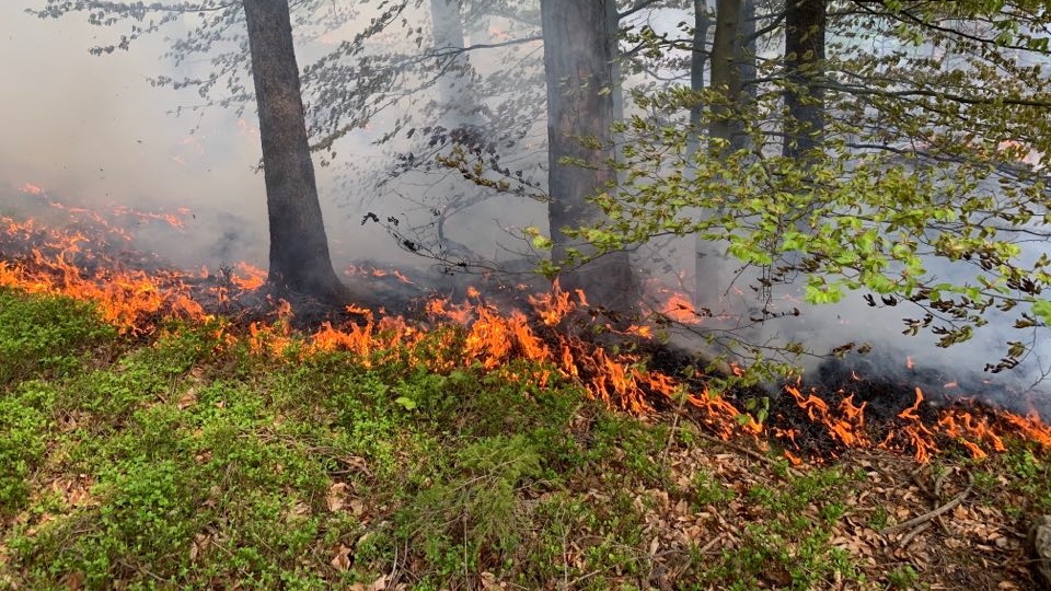 Foto: V Děčíně hořel les. Byl vyhlášen druhý stupeň požárního poplachu