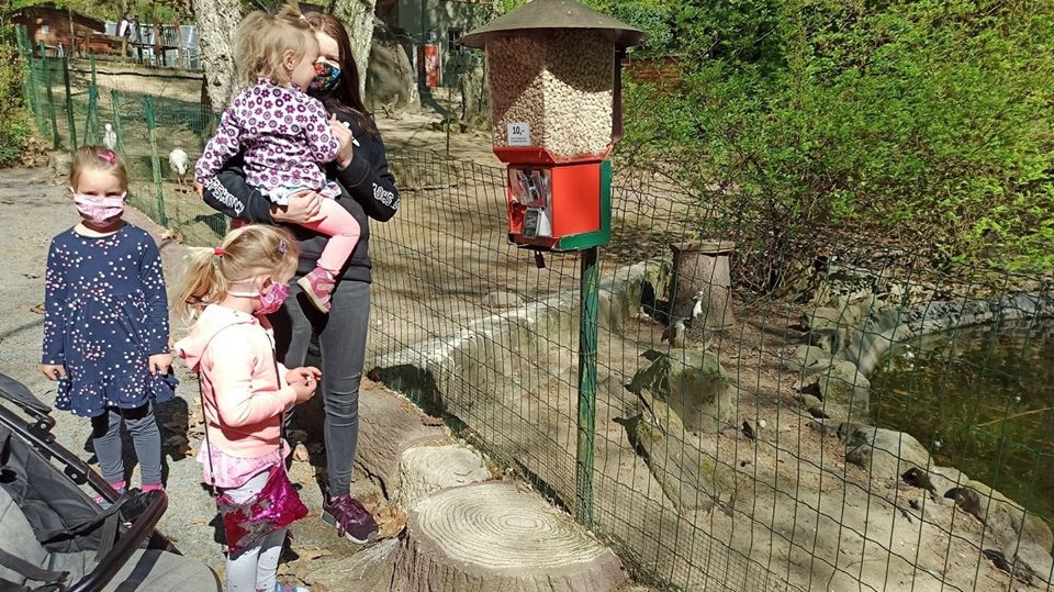 Děčín: Návštěvníci stahují koronavirovou ztrátu zoo nákupem v e-shopu nebo pořízením adopce