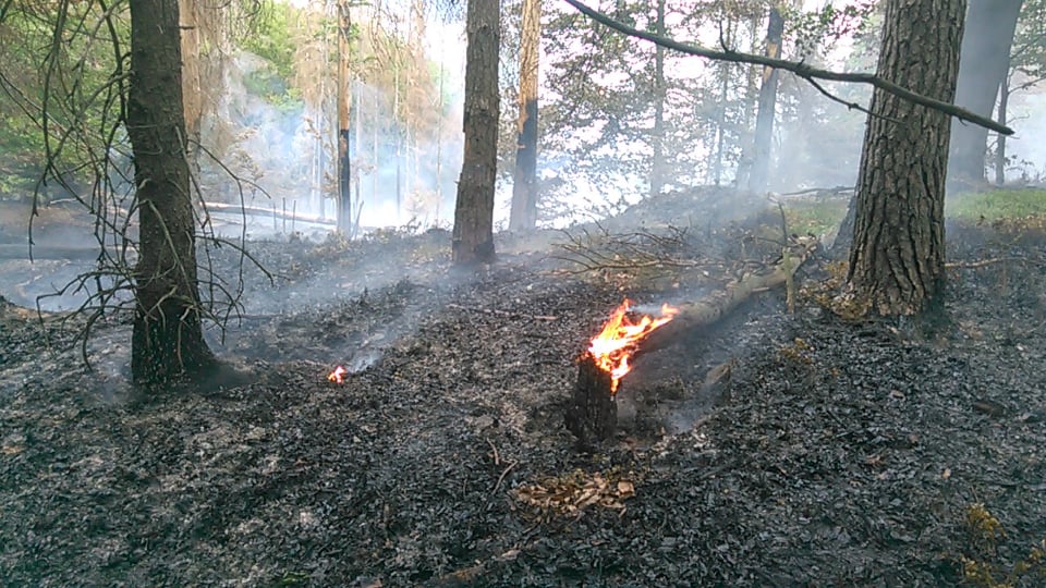 Foto a video: Hasiči na Děčínsku bojovali s rozsáhlým požárem lesa