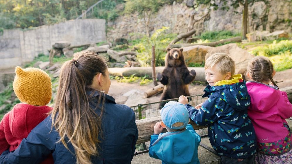 Den dětí oslaví zoo vstupem pro děti jen za desetikačku