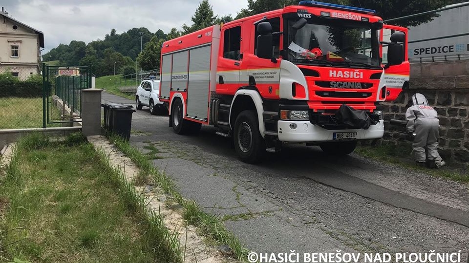 V bytě alergika bylo několik vos. S odstraněním pomohla místní jednotka hasičů