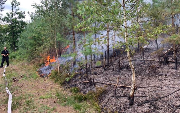 OBRAZEM: Nad Bynovem hořel les, hasiči vyhlásili druhý stupeň poplachu