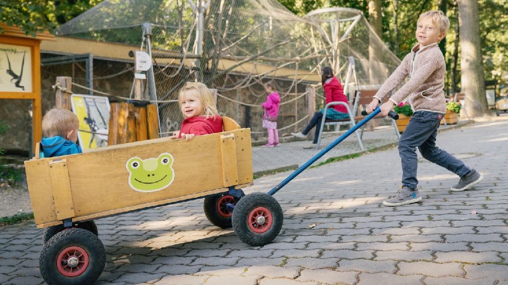 Děčínskou zoo navštívilo o prázdninách více než 56 tisíc lidí!