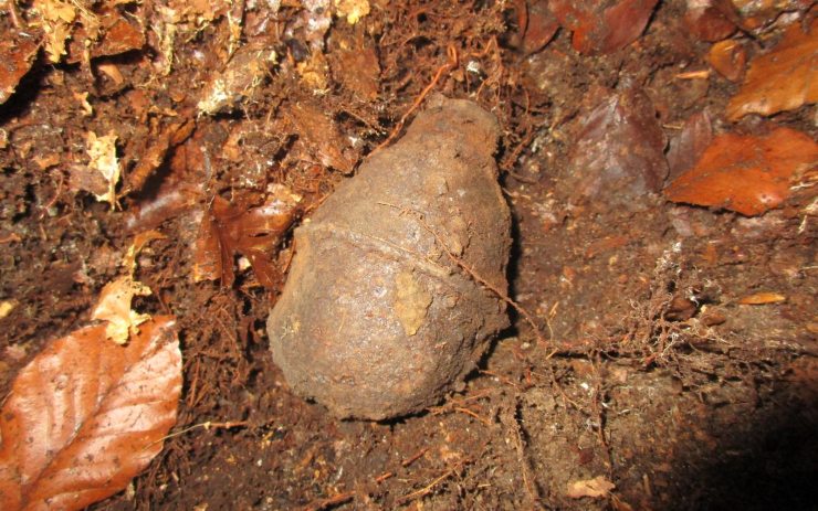Muž pomocí detektoru našel granát z druhé světové války! Na místo vyjížděl pyrotechnik