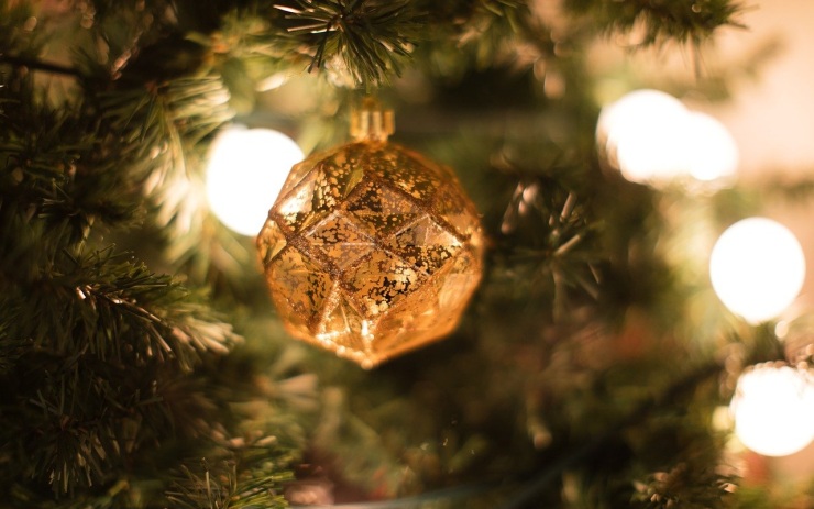 Vánoční strom se rozsvítí první adventní neděli, bohužel bez účasti veřejnosti