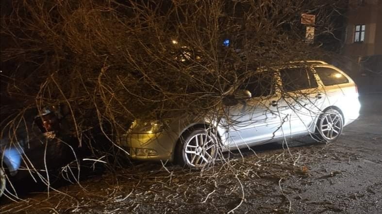 Foto: Strom v Bynově spadl na zaparkovaná auta