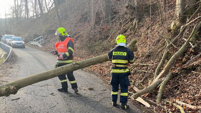 Foto: Hasiči z Benešova nad Ploučnicí vyjížděli k poškozeným stromům. Jeden spadl na silnici a drůhý zatím jen hrozil pádem