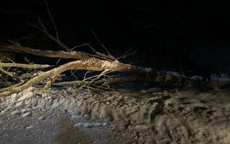 V Česku řádí sněhová bouře se silným větrem, hasiči v noci vyjížděli k popadaným stromům
