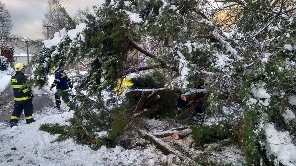 Strom spadl v Prostředním Žlebu přes silnici. Na místo vyjeli místní hasiči