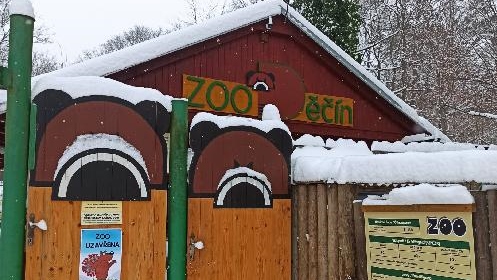 Zoologické zahrady žádají vládu o finanční pomoc na svůj provoz