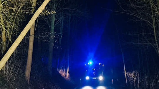 Děčín: Strom se naklonil a hrozil pádem na silnici. Hasiči ho přijeli pokácet