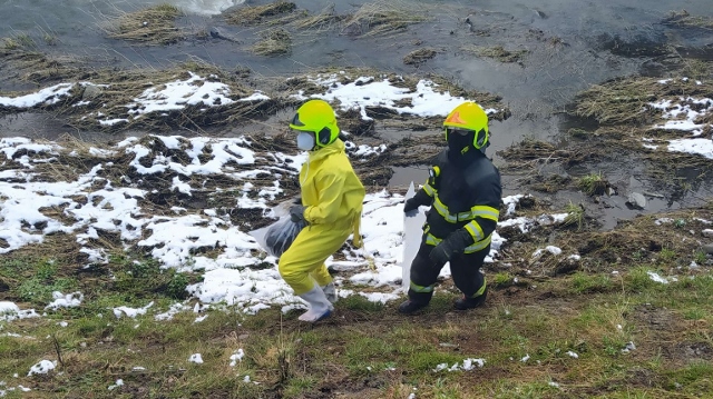 Foto: V potoce bylo nalezeno tělo pejska. Na místo jeli strážníci i hasiči