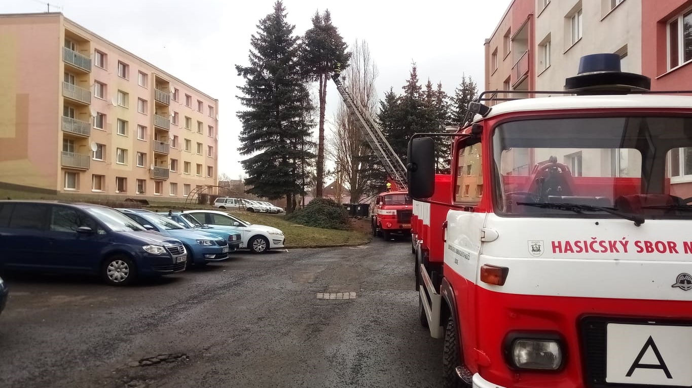 Jílové: V Okružní ulici bylo pokáceno několik stromů. Důvod jejich odstranění je v článku