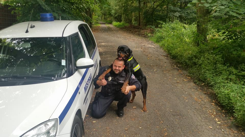 Děčín: Náhle ve službě zemřel policejní rotvajler Sam