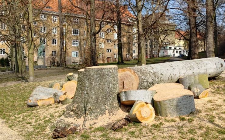 Buk na Smetanově nábřeží musel k zemi, jeho stav se stále zhoršoval
