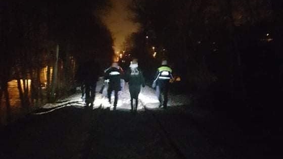 V noci byl narušen objekt sběrného dvora. Na místo vyjela hlídka MP a také psovod