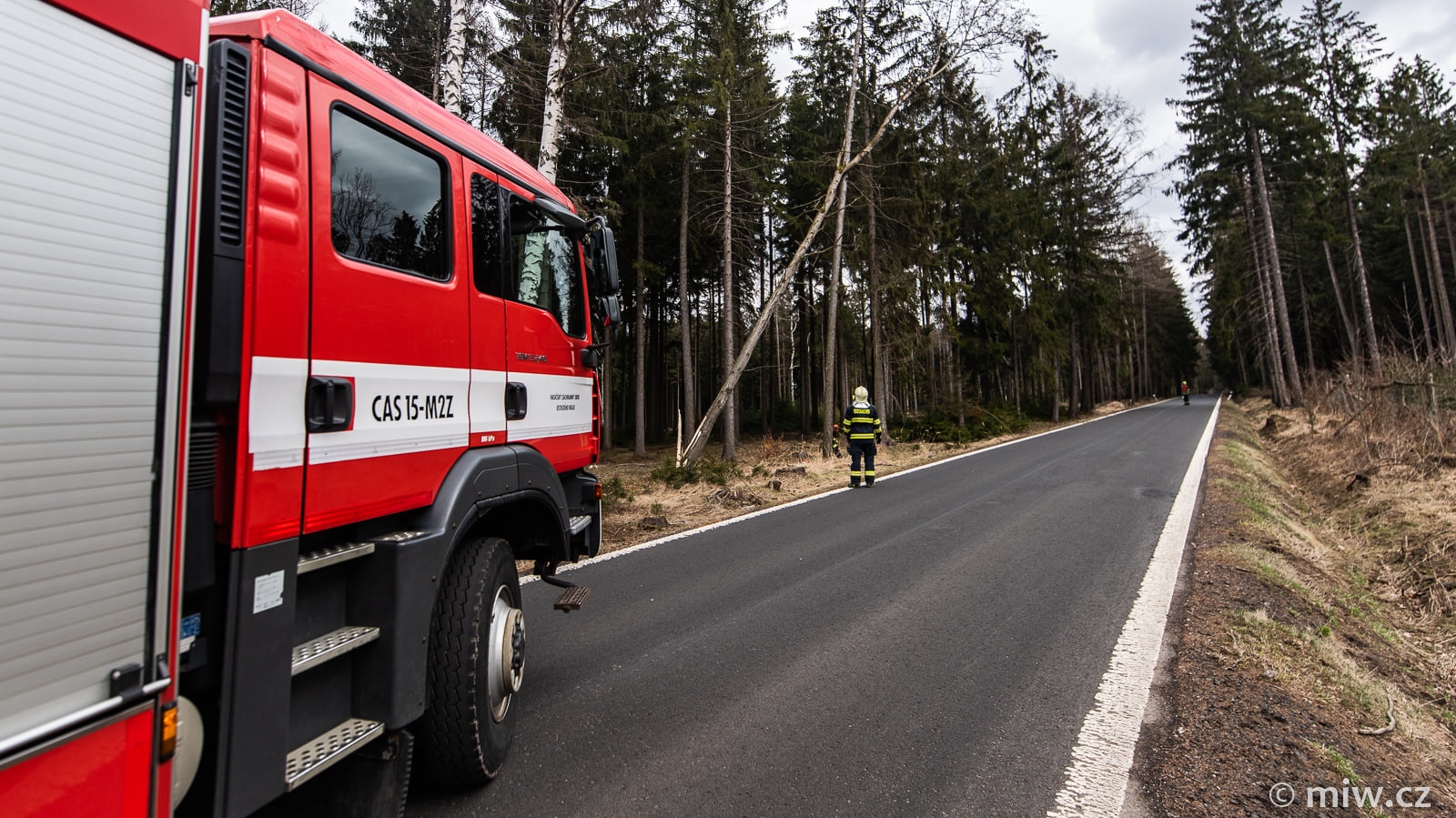 Foto: U frekventované silnice praskl strom a hrozil pádem na vozovku