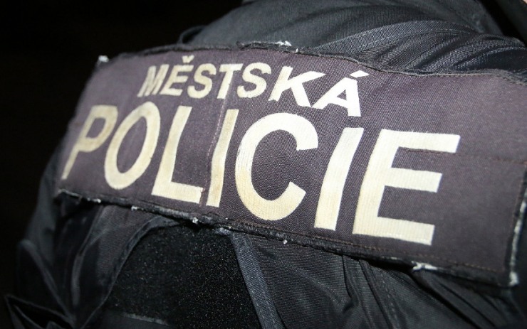 Muž převracel popelnice a vysypával z nich odpadky. Ke strážníkům se choval vulgárně a agresivně