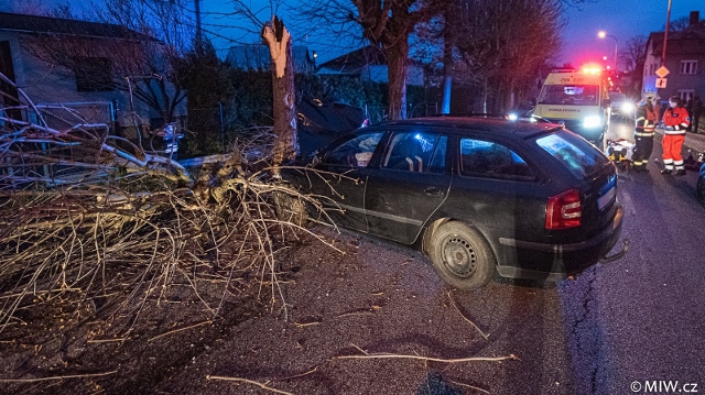 Foto: Složky IZS vyjely v pondělí ráno k nehodě auta, které narazilo do stromu