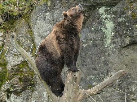 Děčínská zoologická zahrada je opět otevřena! 