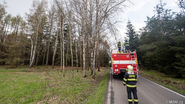 Ulomená část břízy hrozila pádem na silnici. Hasiči ji odstranili