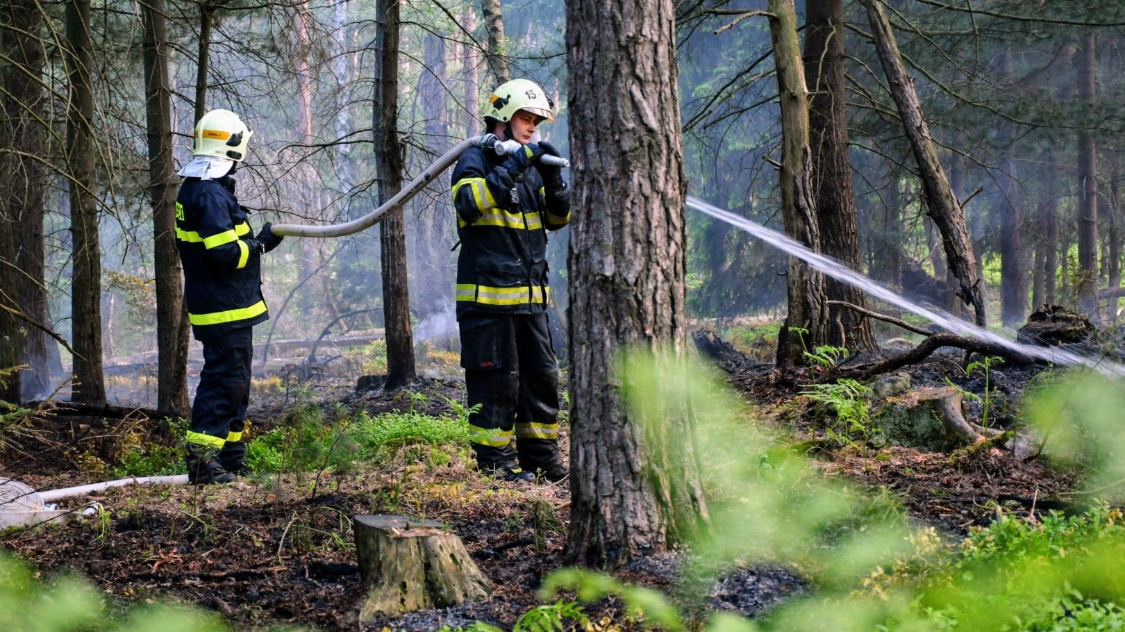 Aktuálně! Hasiči dohašují les nad Bělou na Děčínsku. K požáru došlo ve středu, příčinou vzniku bylo ohniště