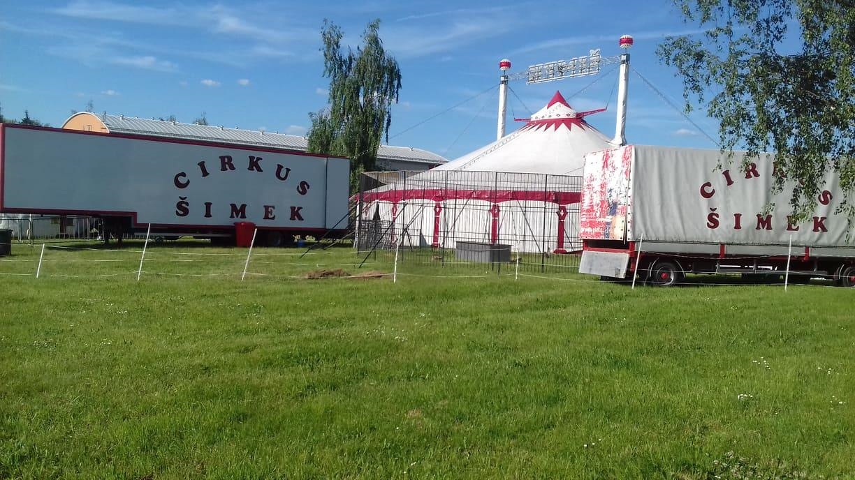 Děčín: Cirkus Šimek zve diváky do manéže i do jeho cirkusové zoo