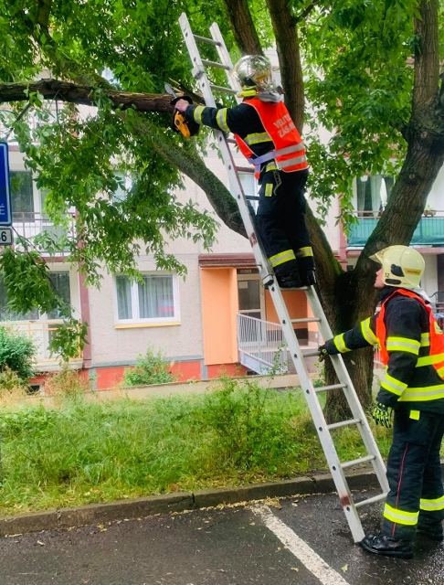 Aktuálně! Hasiči vyjeli k poškozenému stromu. Větev hrozila pádem na auta