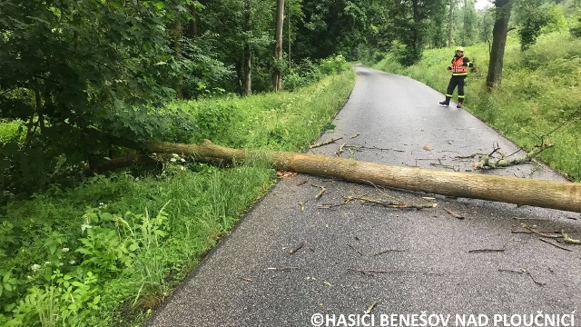 Hasiče ze Hřenska a z Benešova nad Ploučnicí zaměstnali spadlé a poškozené stromy včetně zatopené silnice