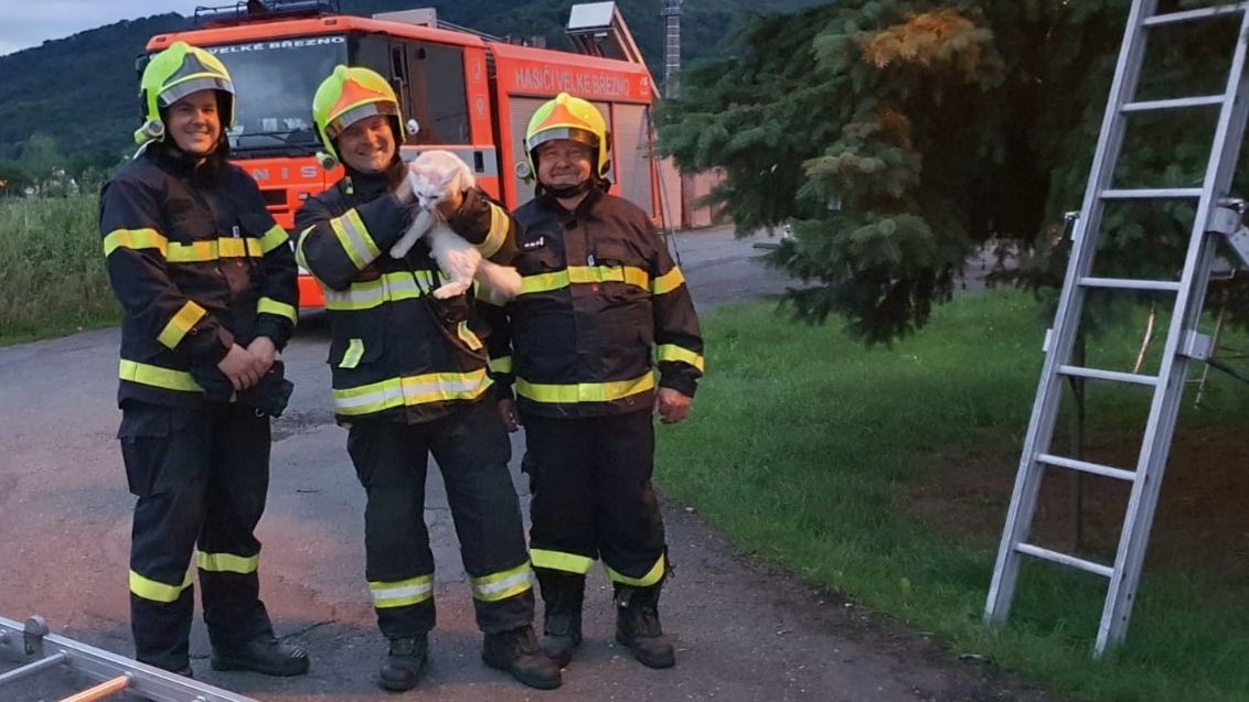 Foto: Hasiči vyjížděli ke kočce, která byla na lampě veřejného osvětlení