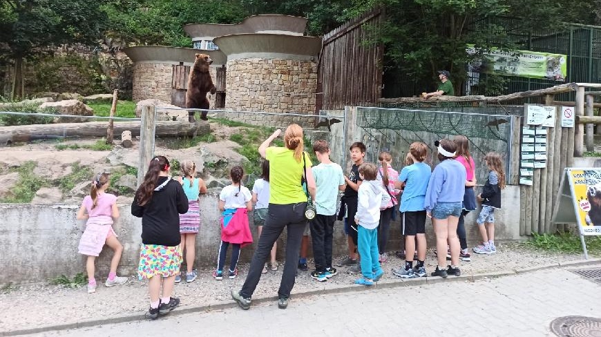 Děčín: Lidé berou zoo útokem, návštěvnost roste