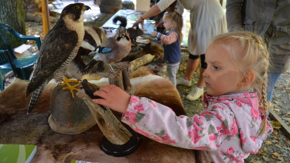 Foto: V děčínské zoo se v sobotu slavil Mezinárodní den zvířat 