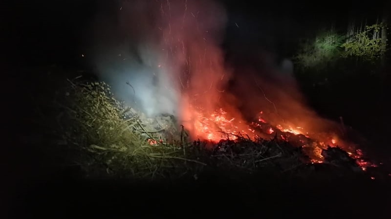 Celkem pět hasičských jednotek vyjelo k požáru lesního porostu nad Boletice nad Labem