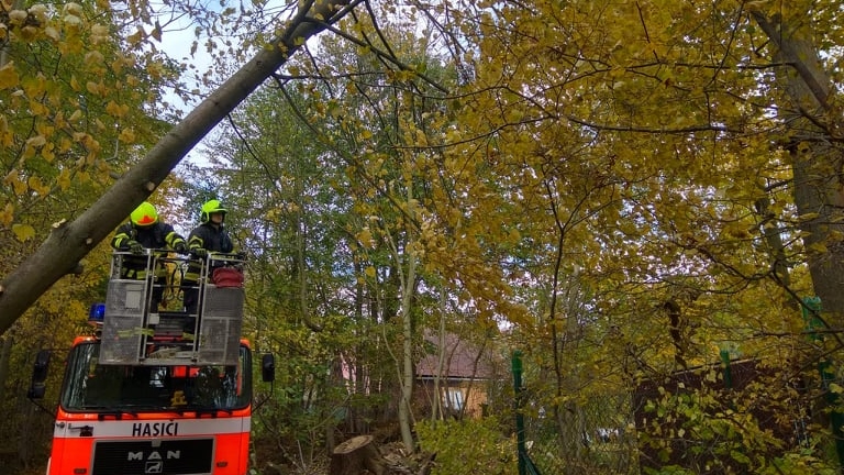 Foto: Hasiči a strážníci z Jílového zasahovali u poškozeného stromu a u nenahlášeného pálení