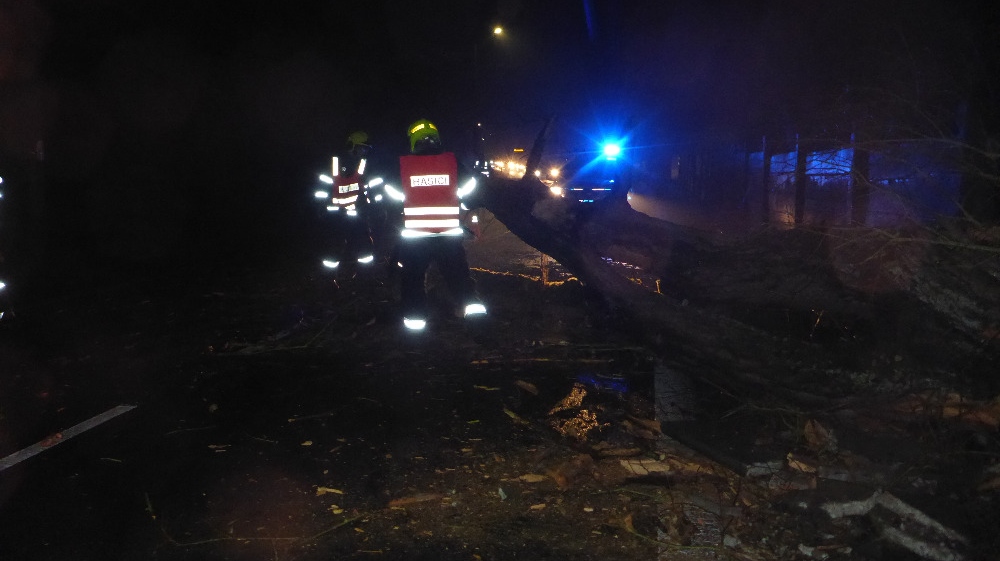 Foto: Strom v ranních hodinách spadl na hlavní silnici v Martiněvsi před projíždějící vozidlo. Řidič včas zareagoval a přivolal hasiče