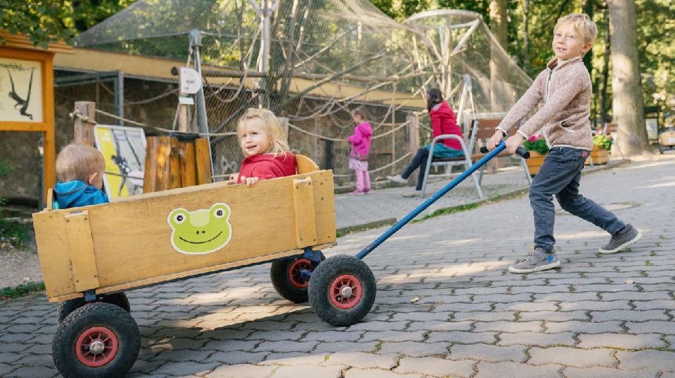 Zoo Děčín bilancuje: Rok 2021 jsme ukončili se vztyčenou hlavou