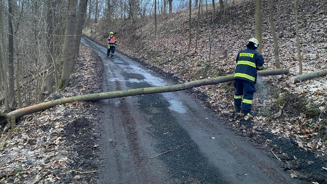 Foto: Strom ve Františkově nad Ploučnicí spadl přes silnici. Na místo vyjeli dobrovolní hasiči 