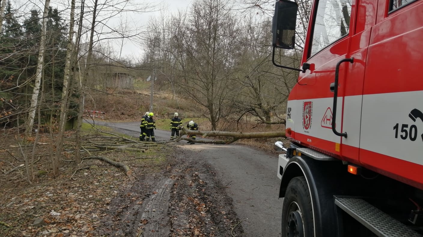 Foto: Hasiči od rána zasahují u několika pádů stromů