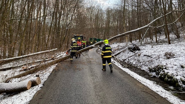 Foto: V Blankarticích spadl strom na silnici. Na místo vyjeli dobrovolní hasiči