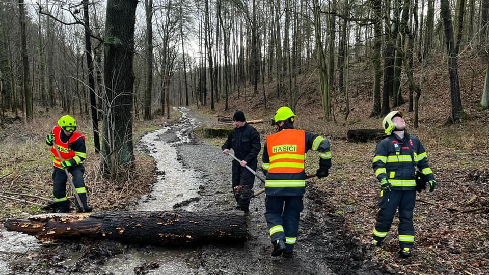 Foto: Hasiči vyjeli usměrnit vodu tekoucí z lesa. Hrozilo zaplavení domu