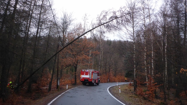 Foto: Strom nebezpečně visel na telefonních drátech, hrozilo, že spadne na silnici vedoucí na Sněžník