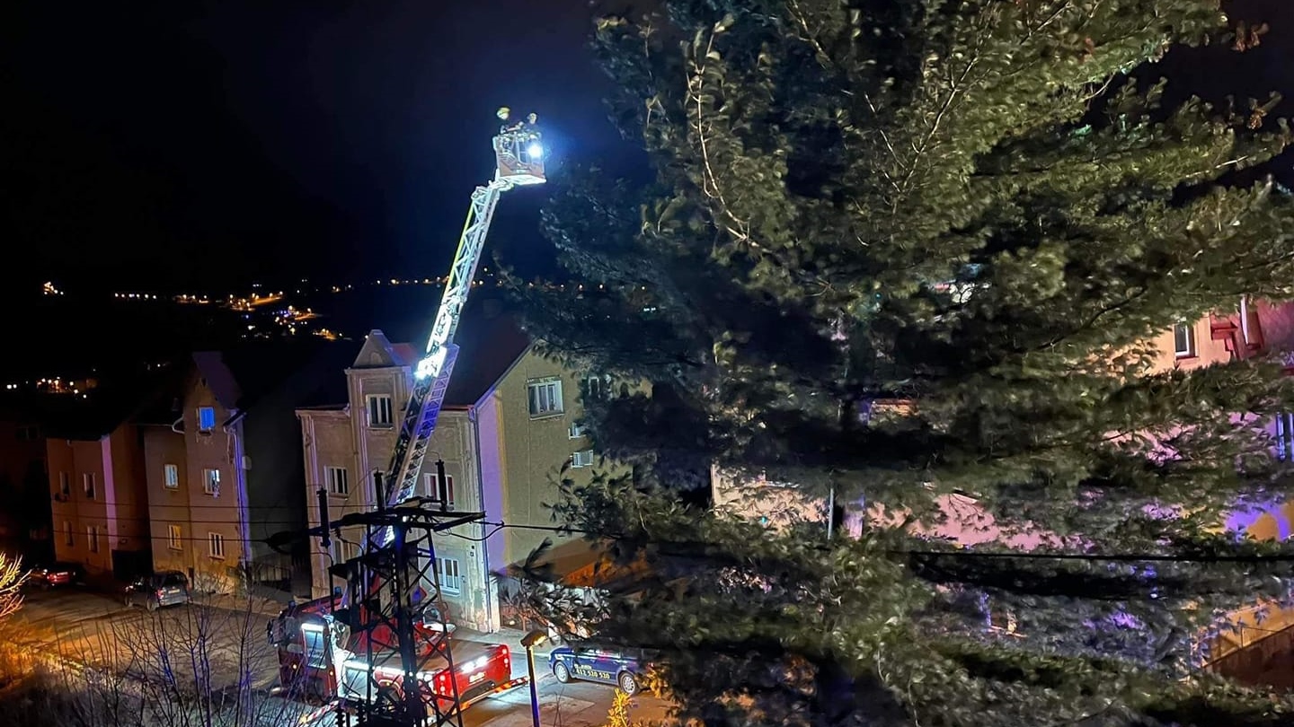 Foto: Hasiči museli v Boleticích nad Labem pokácet velký strom. Byl hodně nakloněný a hrozil pádem na dům