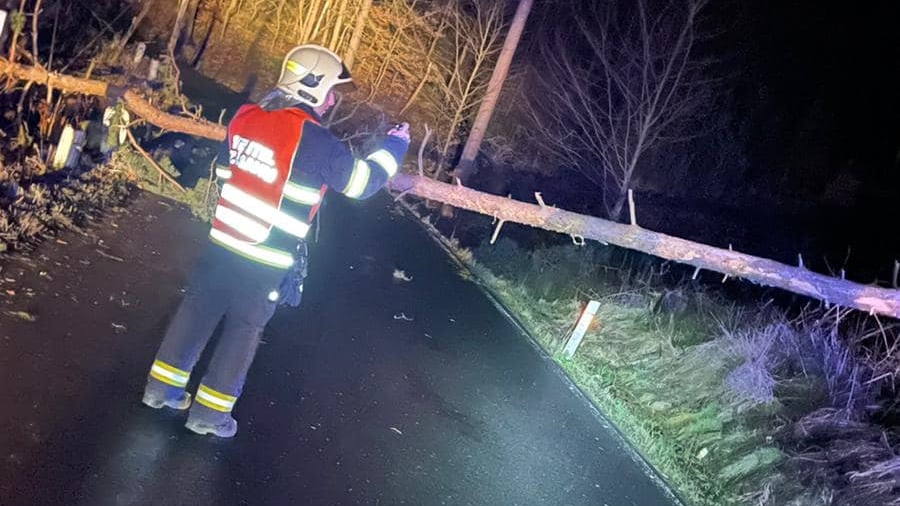 Silnice Boletice nad Labem - Velká Veleň byla v noci neprůjezdná. Na vozovku spadl strom